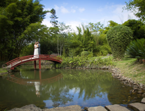 Joha y Olman – Fotografía de bodas