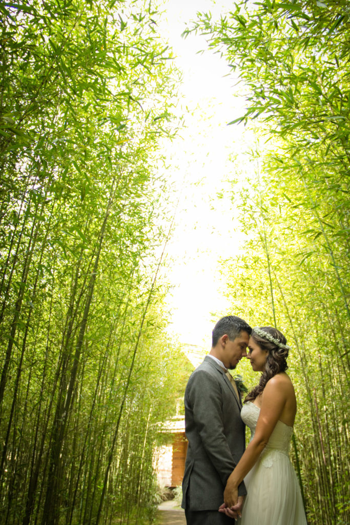 Fotografía de bodas